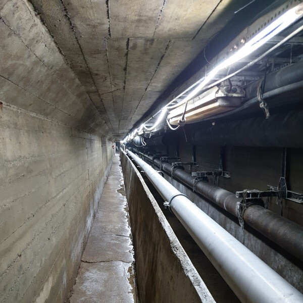 TAMO LED STRIP 20M BSC 1-ROW 700LM/M